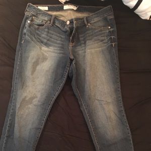 Torrid Boyfriend Cut Jeans